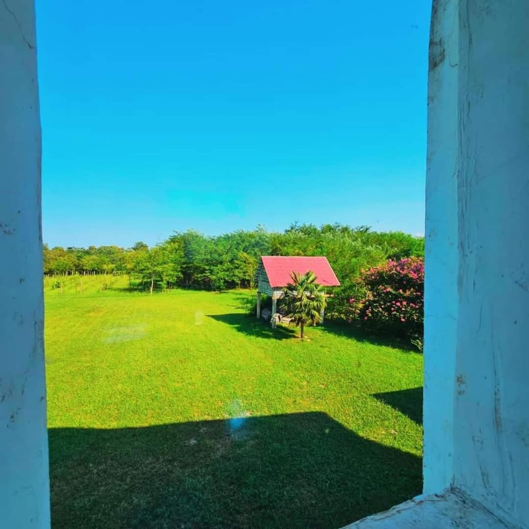 Blue Guest House Samtredia ภายนอก รูปภาพ