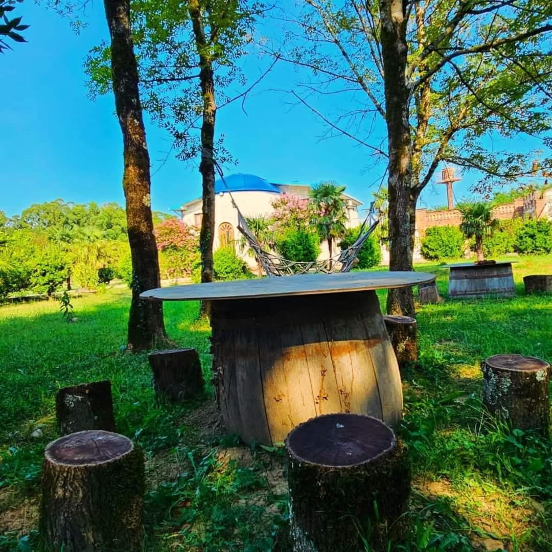 Blue Guest House Samtredia ภายนอก รูปภาพ