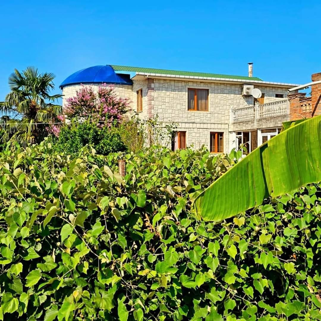 Blue Guest House Samtredia ภายนอก รูปภาพ